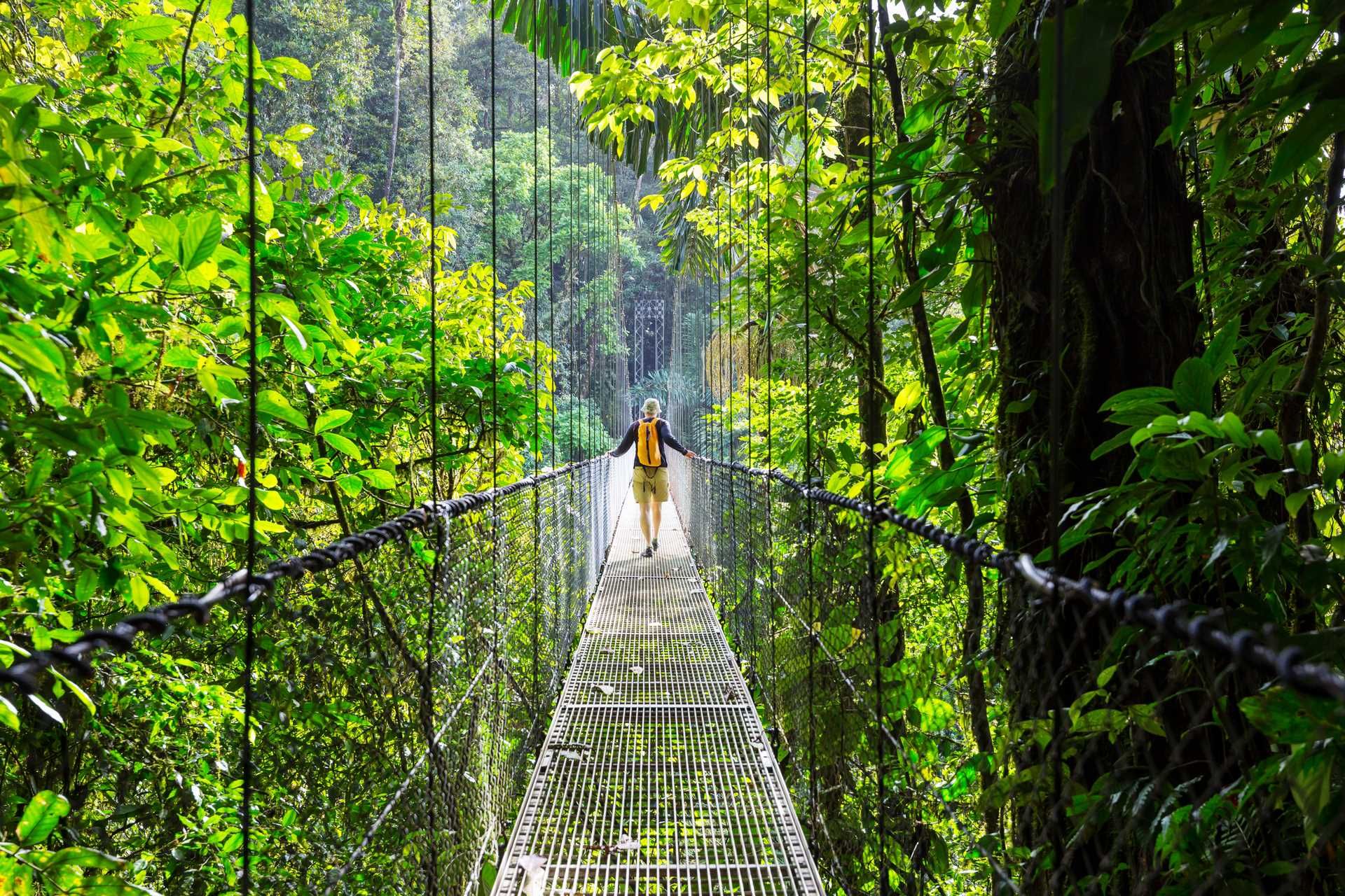 Sur la route du Costa Rica et Rincon de la Vieja - 10J/8N pas cher photo 6