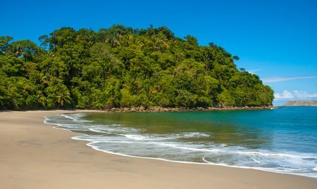 Autotours Splendeurs du Costa Rica & extension Playa Tambor 13J/11N - 2024 pas cher photo 16