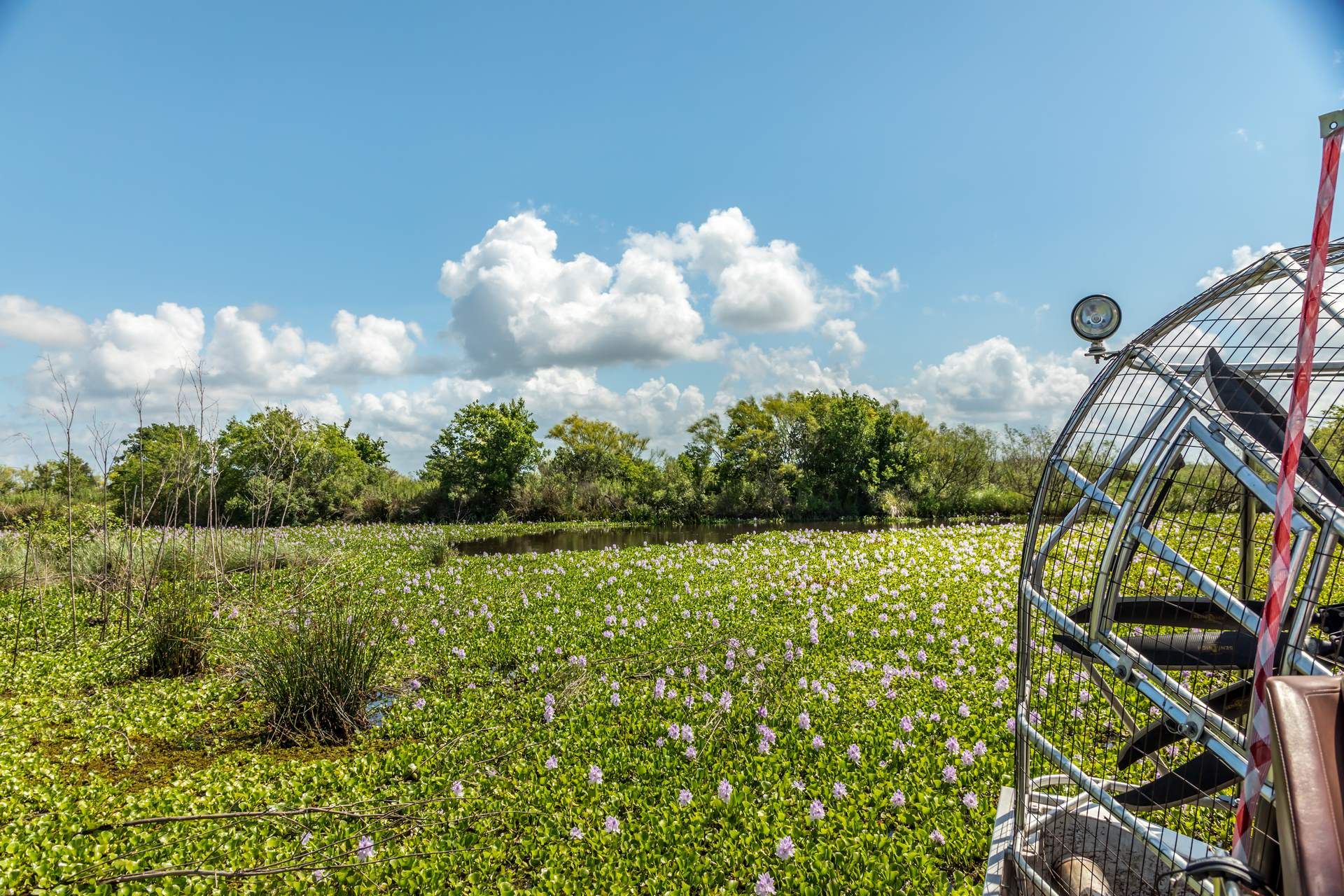 Autotour Cap sur la Louisiane - SUP - 9J/7N pas cher photo 4