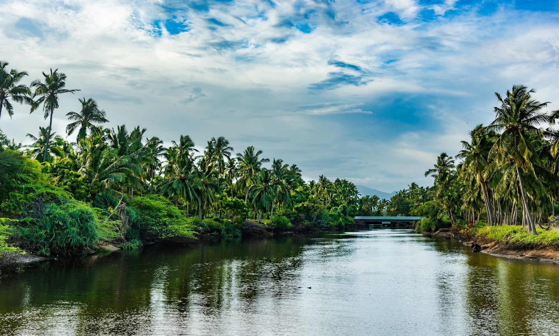 Joyaux de l'Inde du Sud 10J/8N - Limité à 18 pers. pas cher photo 10