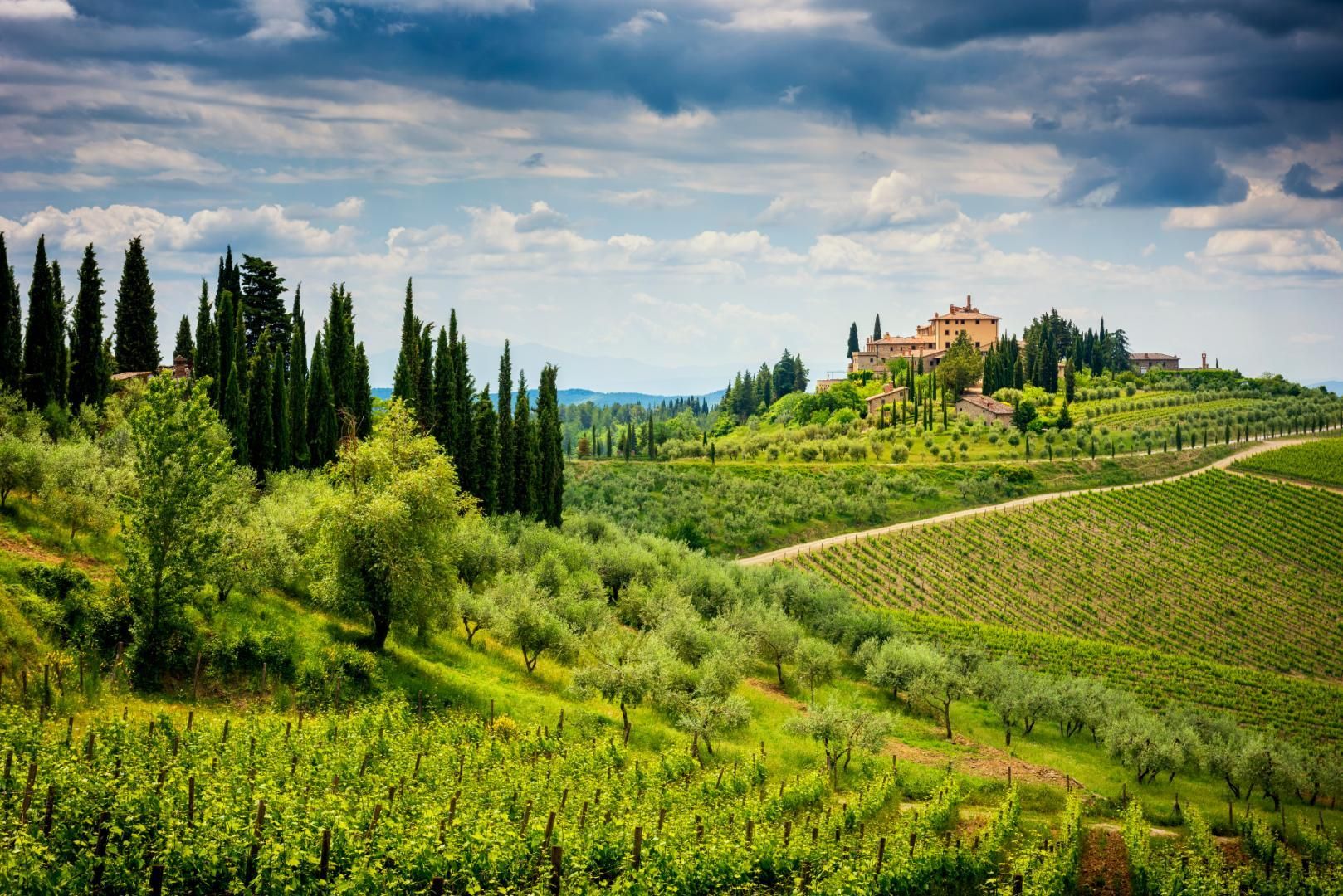 Sur la route : la Toscane - 8J/7N pas cher photo 4