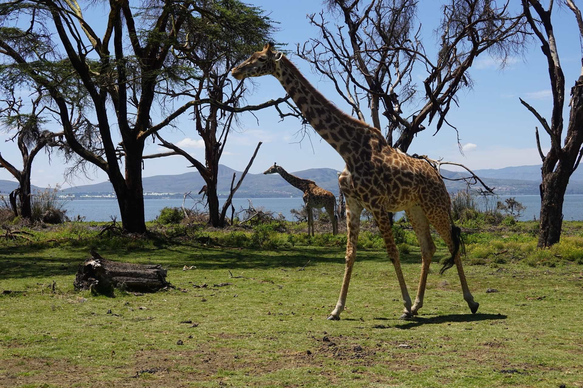 Le Kenya Autrement 14J/12N 2026 pas cher photo 5