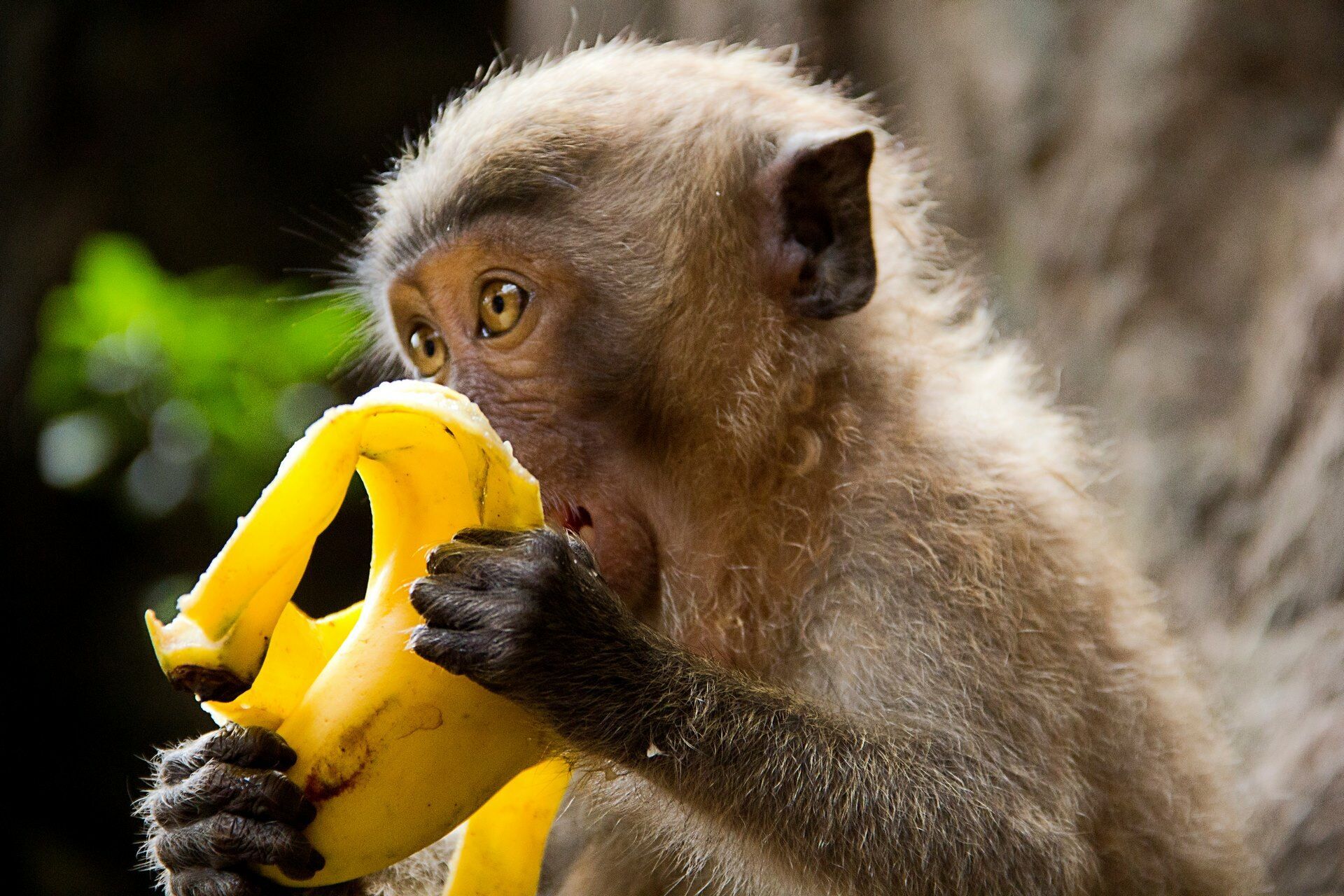 Joyaux de la Thaïlande du Sud 12J/9N - Limité à 12 pers. pas cher photo 7