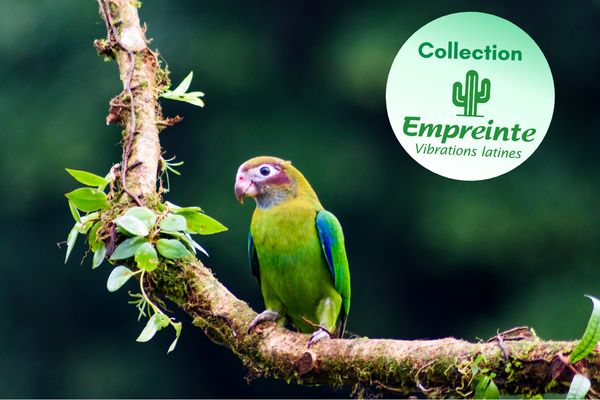 Circuit Le Costa Rica : Sérénité et Détente 3* pas cher photo 2