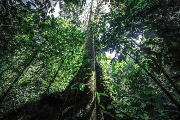 Circuit Le Costa Rica : Sérénité et Détente 3* pas cher photo 12