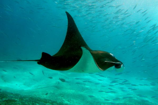 Combiné Rizières et Plage sur l'île des Dieux 3* pas cher photo 7