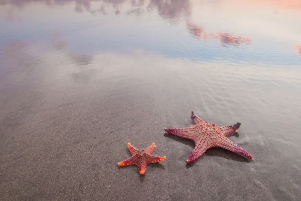 Combiné Rizières et Plage sur l'île des Dieux en hôtels de Charme 3*-4* pas cher photo 8
