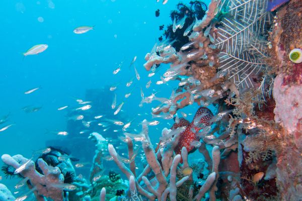 Circuit Couleurs et Sables de Bali 3* pas cher photo 21