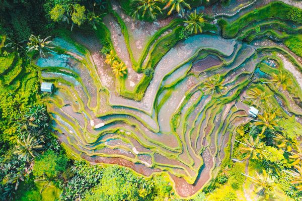 Circuit Lotus de Bali 3*-4* pas cher photo 12