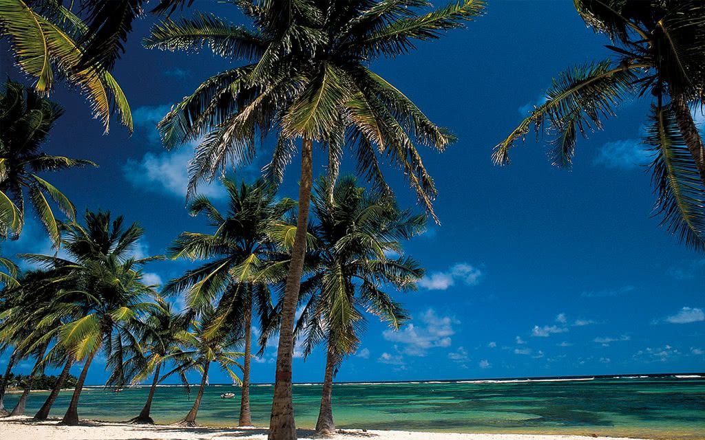 Autotour - Guadeloupe 6 nuits pas cher photo 2