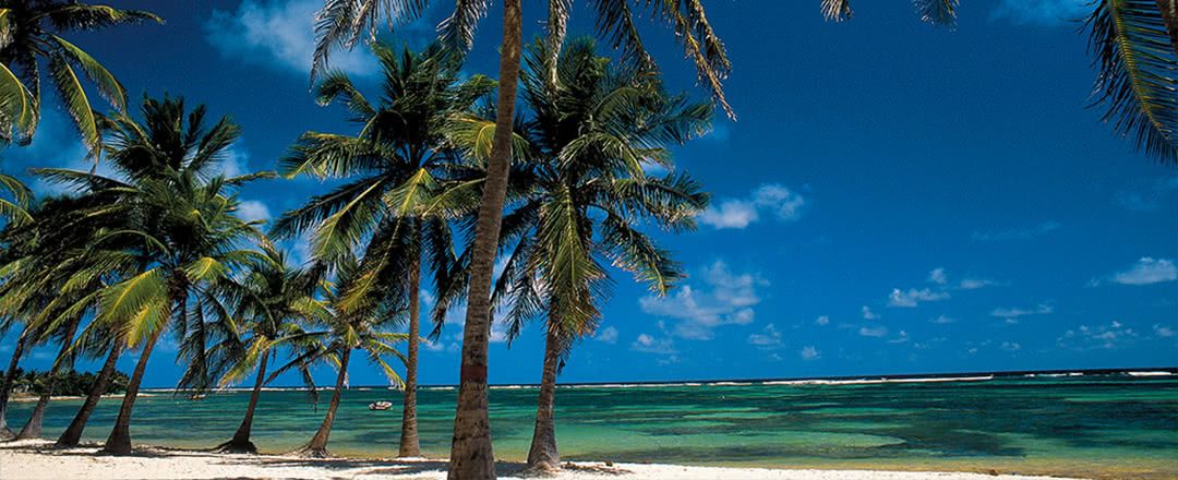 Autotour - Guadeloupe 6 nuits pas cher photo 7