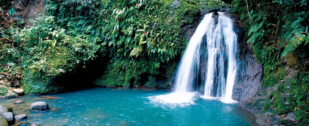 Autotour - Guadeloupe 6 nuits pas cher photo 9