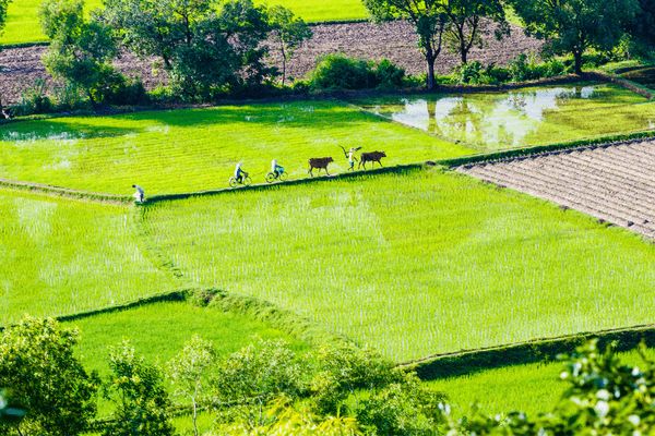 Circuit Des Mystères du Nord Vietnam au Delta du Mekong 3* pas cher photo 12