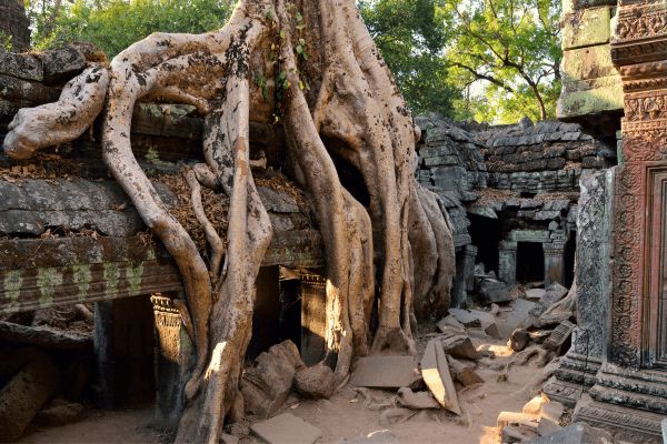 Circuit Vietnam du Nord au Sud, les incontournables en Privatif et Temples d'Angkor 3* pas cher photo 20