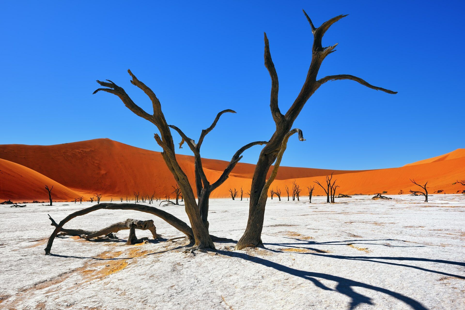 Autotour Sur Les Pistes Namibiennes - 12J/9N pas cher photo 5