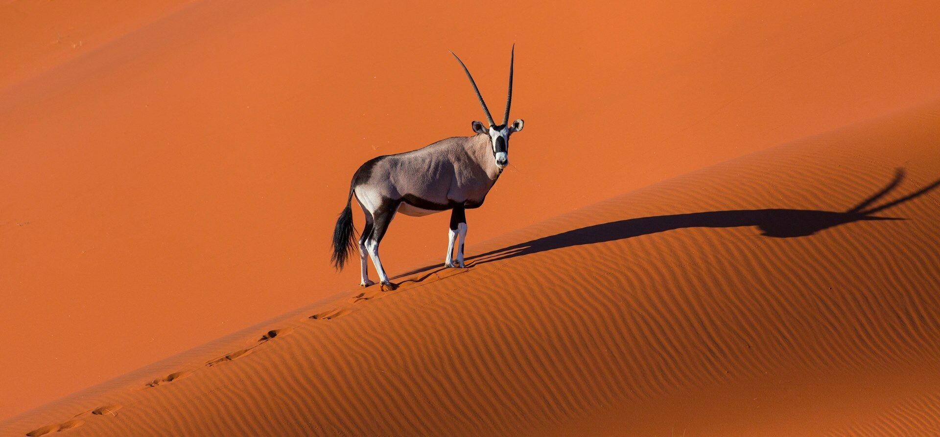 Autotour Sur Les Pistes Namibiennes - 12J/9N pas cher photo 1