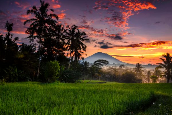 Combiné Jungle Océan et Sable de Bali 4* pas cher photo 2