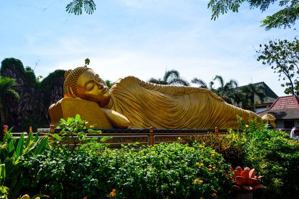 Circuit Perles d'Indonésie pas cher photo 6