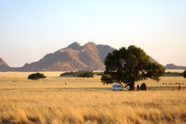 Combiné circuit et hôtel Pinewood Beach Resort & Spa 4*sup avec 3 nuits safari Tsavo et Amboseli pas cher photo 1