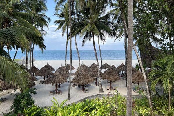 Combiné circuit et hôtel Pinewood Beach Resort & Spa 4*sup avec 2 nuits safari Tsavo Est et Ouest pas cher photo 11