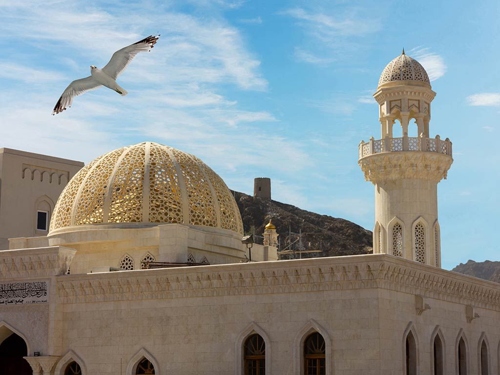 Oman en liberté pas cher photo 1