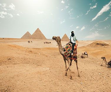 Les Merveilles de l'Egypte pas cher photo 1