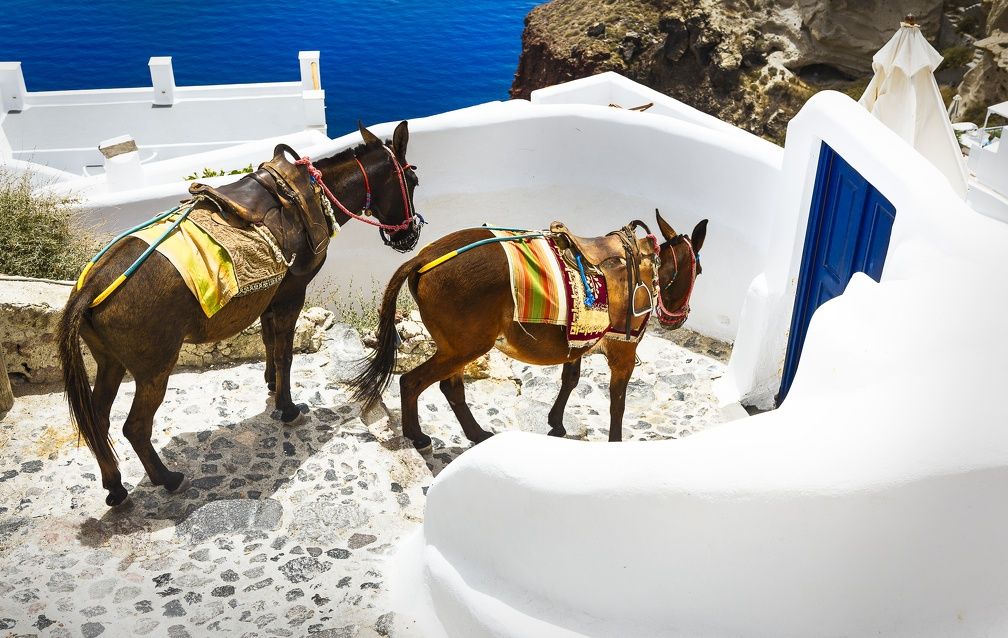Combiné Santorin, Ios, Amorgos, Naxos Hôtels 3* pas cher photo 1
