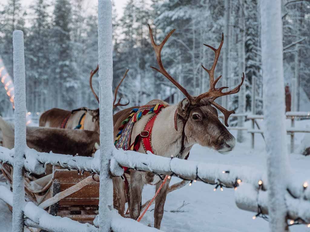 Grand tour de Scandinavie pas cher photo 10