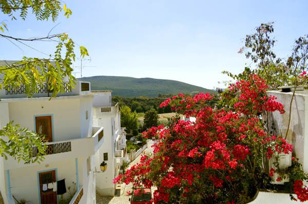 Circuit Charmes de l'authentique Algarve 4* pas cher photo 2