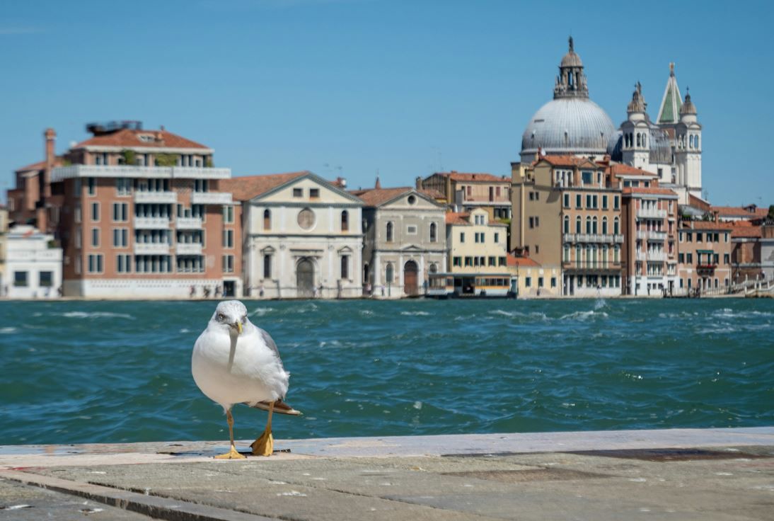 Regard sur Venise et les lacs italiens 2024 pas cher photo 2