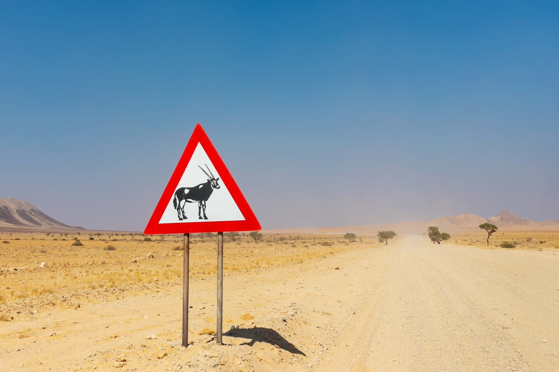 Autotour Namibie en Liberté - 16J/13N pas cher photo 2