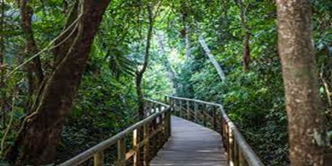 Circuit Les Couleurs du Costa Rica pas cher photo 4