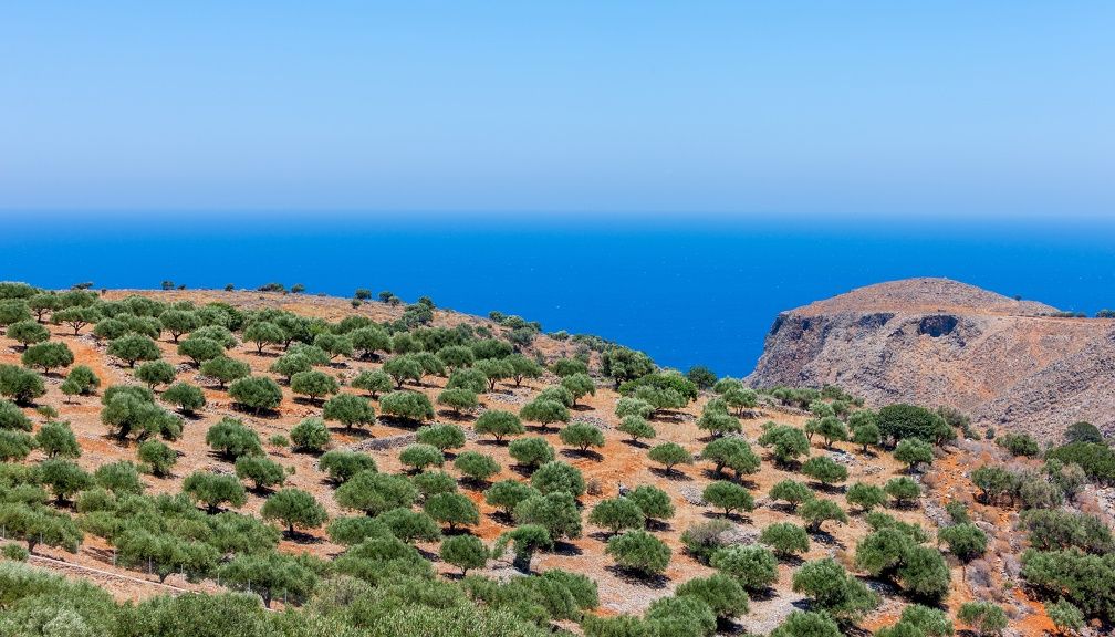 Autotour La Crète du Nord au Sud en 3* pas cher photo 11