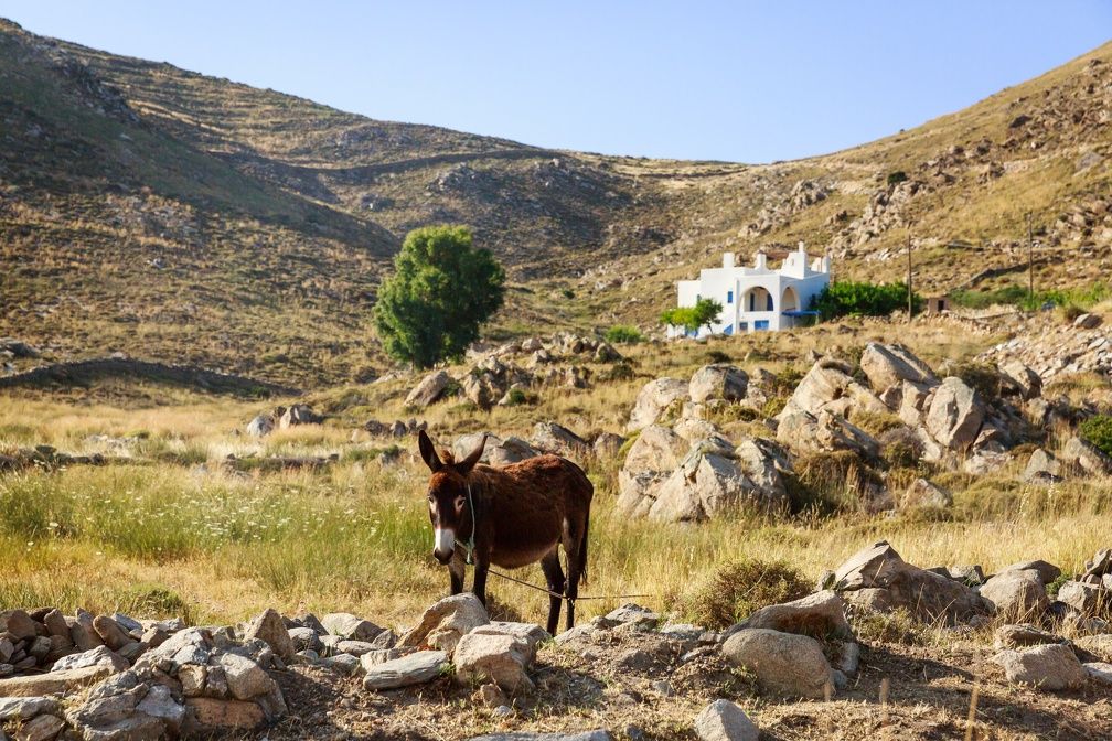 Combiné Santorin Naxos Paros Hôtels 3* ou 4* pas cher photo 2