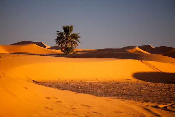 Circuit Marrakech et désert de Merzouga pas cher photo 11