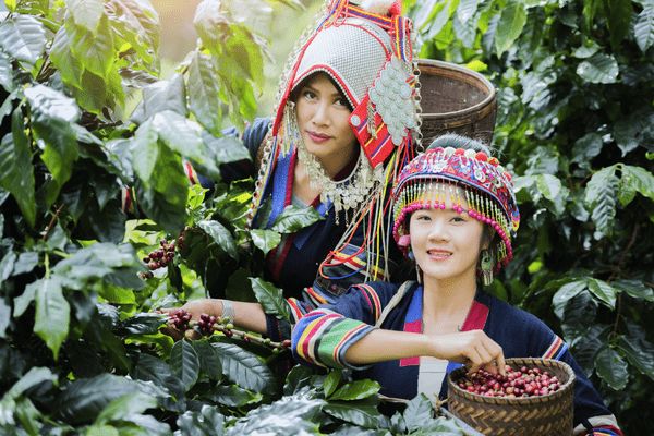 Circuit Thaïlande Insolite aux Temples d'Angkor pas cher photo 14