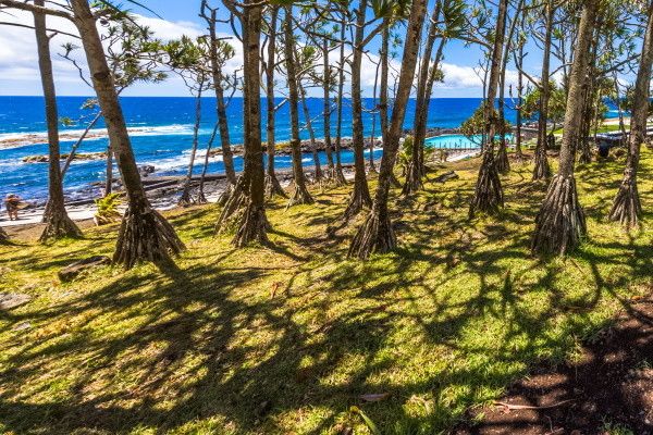 Circuit Couleurs de La Réunion pas cher photo 6