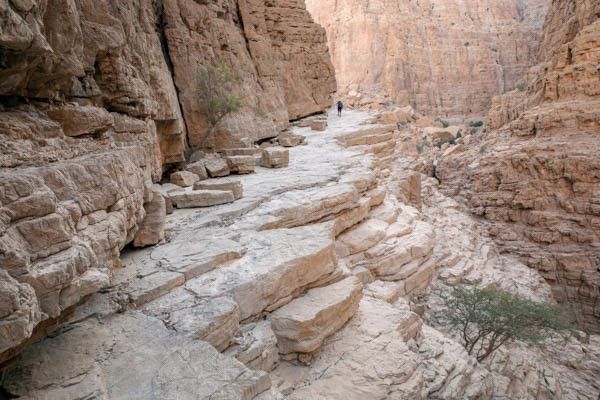 Circuit Emirats et Oman : du modernisme aux traditions 4* pas cher photo 11