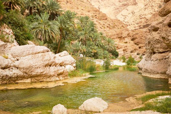 Circuit Emirats et Oman : du modernisme aux traditions 4* pas cher photo 23