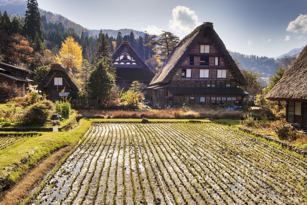 Circuit L'intégral du Japon en 3* ou 4* pas cher photo 1