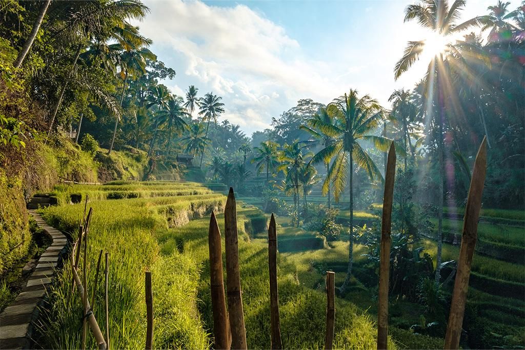 Combiné Hôtel Sthala Ubud 5* et Hôtel Ôclub Select Merusaka 5* pas cher photo 4