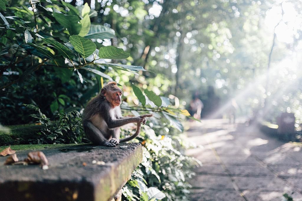 Combiné Ubud Gili Trawangan et Sud Balinais 5* pas cher photo 3