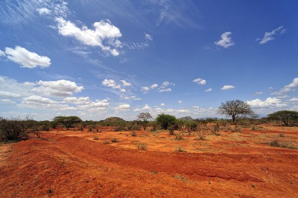 Combiné circuit et Hôtel Neptune Palm Beach Boutique Resort & Spa 4*sup avec 3 nuits Tsavo Est / Oue pas cher photo 7