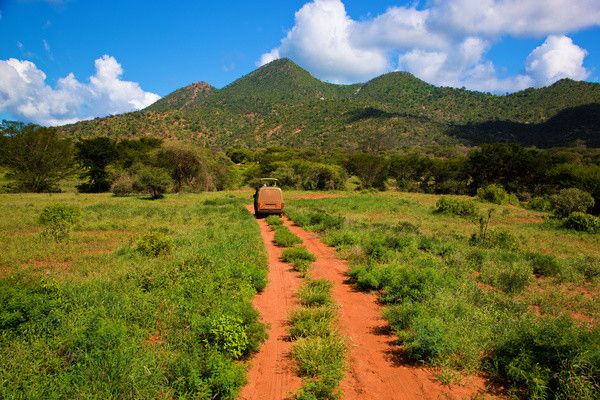 Combiné circuit et Hôtel Neptune Palm Beach Boutique Resort & Spa 4*sup avec 3 nuits Tsavo Est / Oue pas cher photo 10