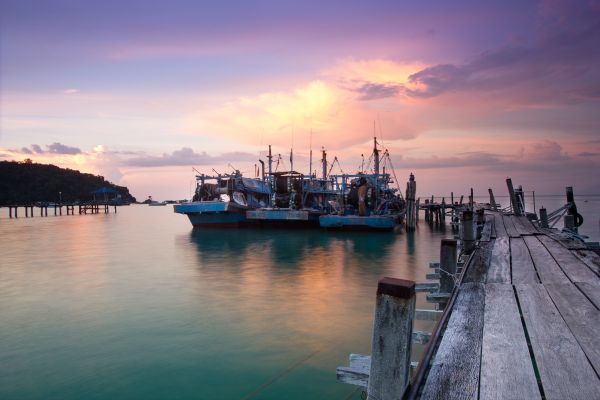 Malaisie en Liberté, Sur les Terres Sauvages de Taman Negara 3* pas cher photo 3