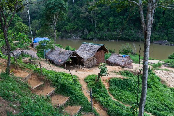Malaisie en Liberté, Sur les Terres Sauvages de Taman Negara 3* pas cher photo 7