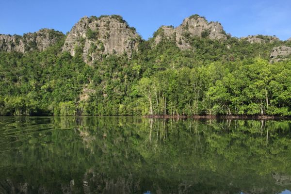 Malaisie en Liberté, Des Terres Sauvages de Taman Negara à l'île de Langkawi 4* pas cher photo 2