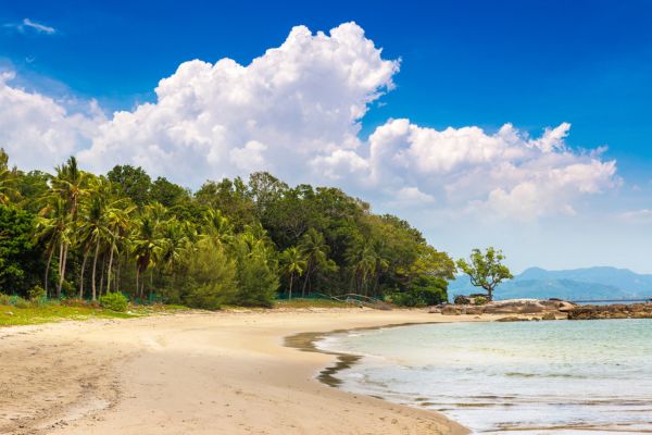 Malaisie en Liberté, Des Terres Sauvages de Taman Negara à l'île de Langkawi 4* pas cher photo 18