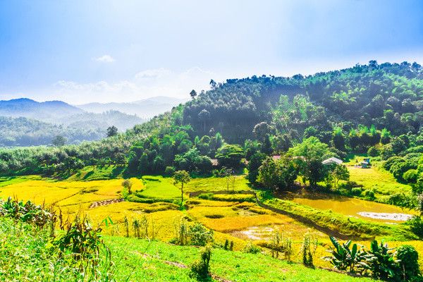 Circuit Richesses et traditions de Thaïlande + extension découverte du sud pas cher photo 10