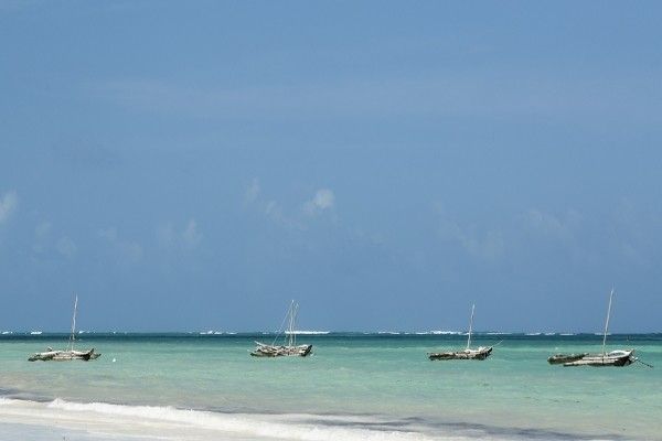 Combiné circuit et hôtel Neptune Paradise Beach Resort & Spa 4* avec 1 nuit Tsavo Est pas cher photo 10